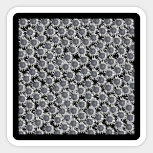 Black and White Sunflowers Sticker